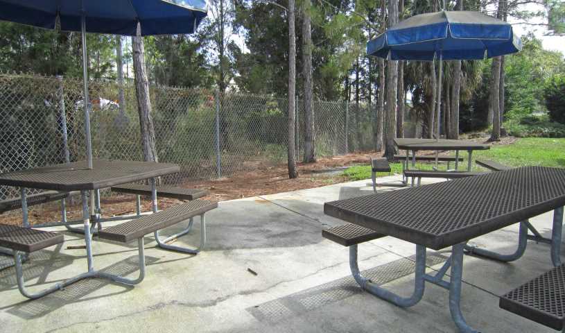 Picnic Area