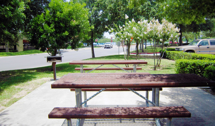 Picnic Area