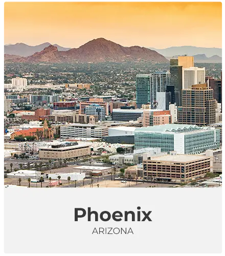 Winter-phoenix.png