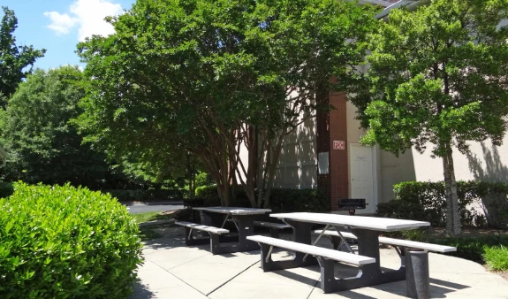 Picnic Area