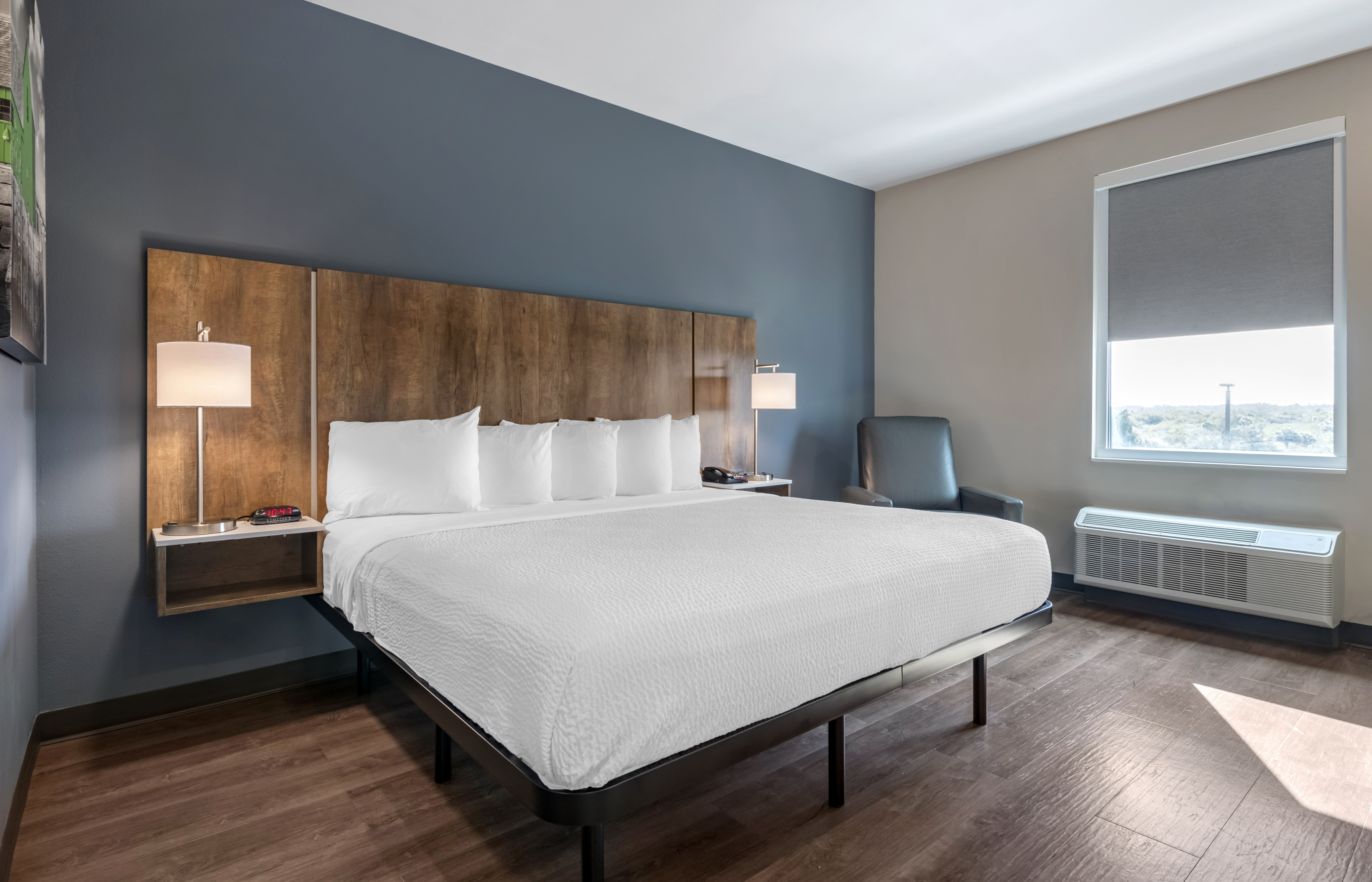 Studio Suite - 1 King Bed