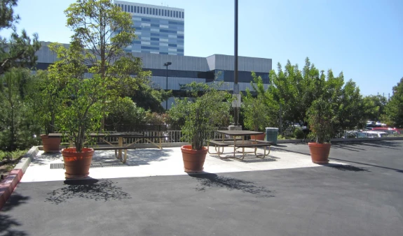 Picnic Area