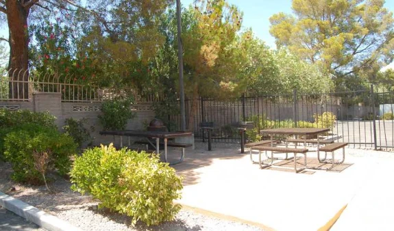 Picnic Area