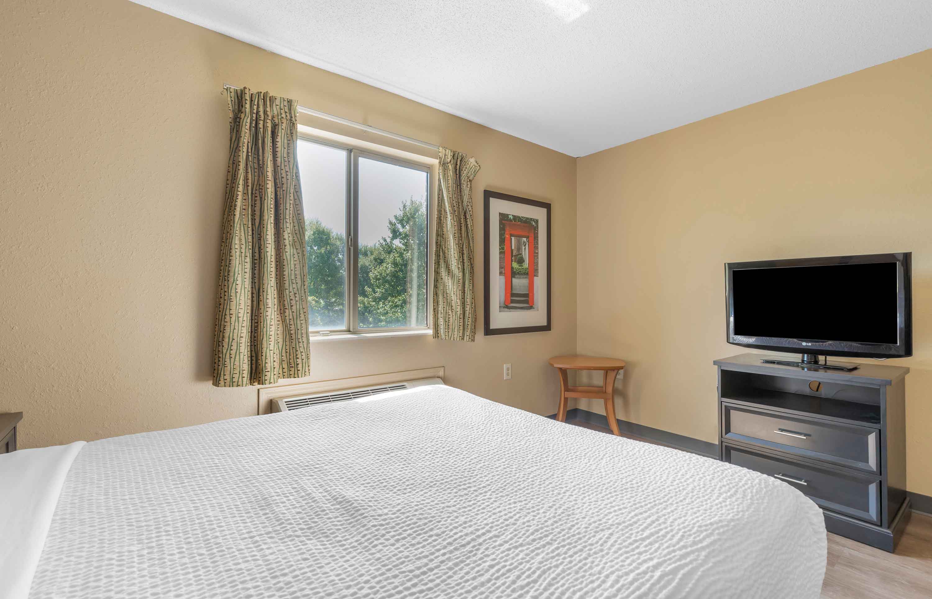 Studio Suite - 1 Queen Bed