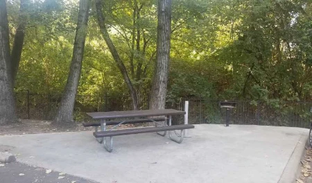 Picnic Area