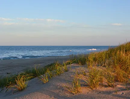 beach