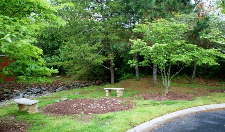 Picnic Area