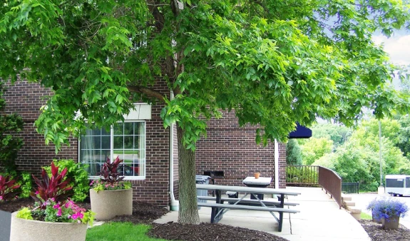 Picnic Area