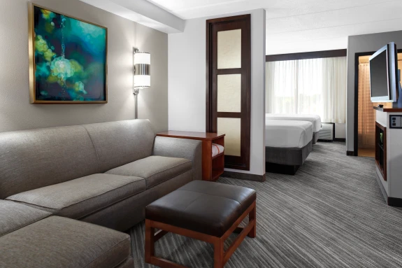 1 Bedroom Suite - 2 Full Beds