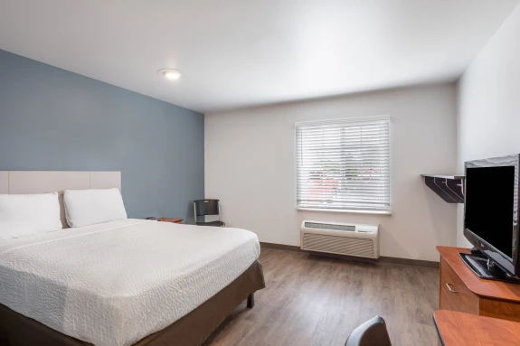 Studio Suite - 1 Queen Bed