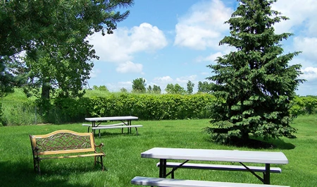 Picnic Area