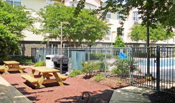 Picnic Area