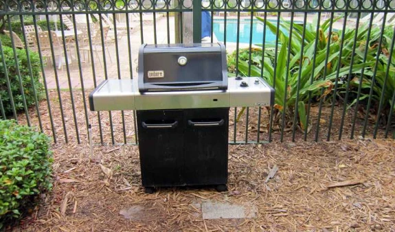 Picnic Area