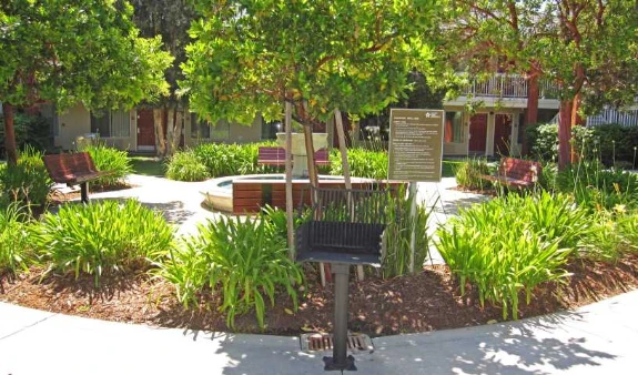 Picnic Area
