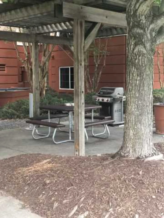 Picnic Area