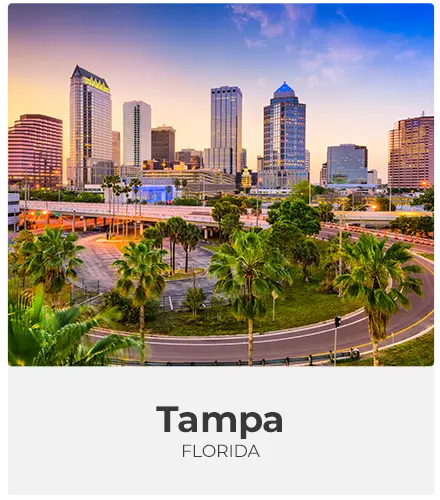 Winter-tampa.png