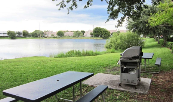 Picnic Area