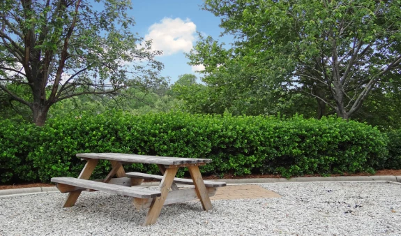 Picnic Area